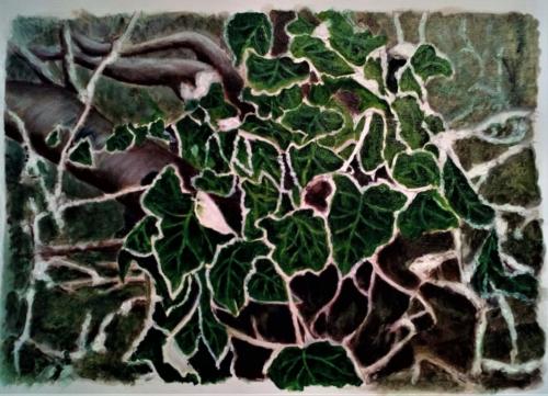 "Frost on Ivy"